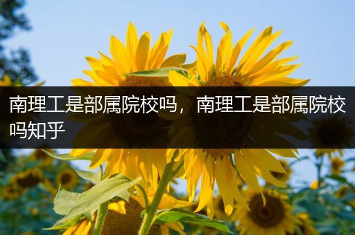 南理工是部属院校吗，南理工是部属院校吗知乎