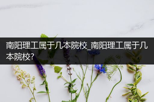 南阳理工属于几本院校_南阳理工属于几本院校?