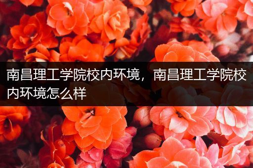 南昌理工学院校内环境，南昌理工学院校内环境怎么样