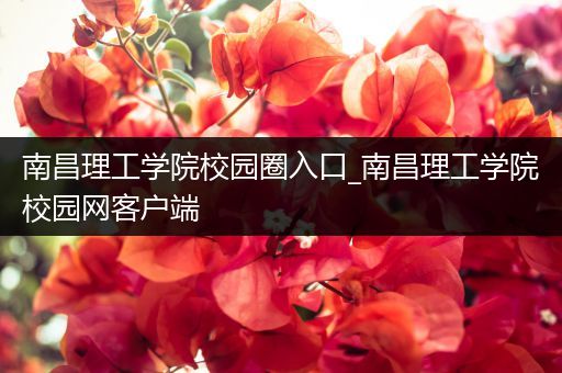 南昌理工学院校园圈入口_南昌理工学院校园网客户端