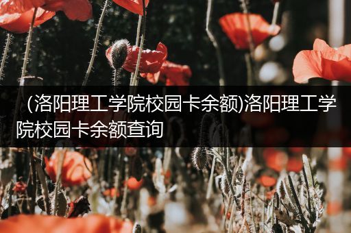 （洛阳理工学院校园卡余额)洛阳理工学院校园卡余额查询