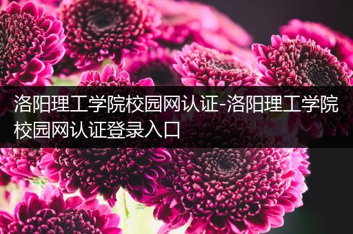 洛阳理工学院校园网认证-洛阳理工学院校园网认证登录入口