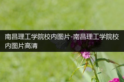 南昌理工学院校内图片-南昌理工学院校内图片高清