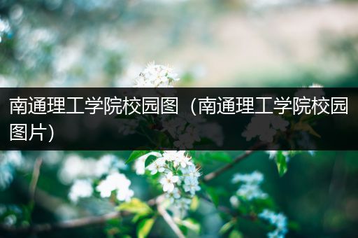 南通理工学院校园图（南通理工学院校园图片）