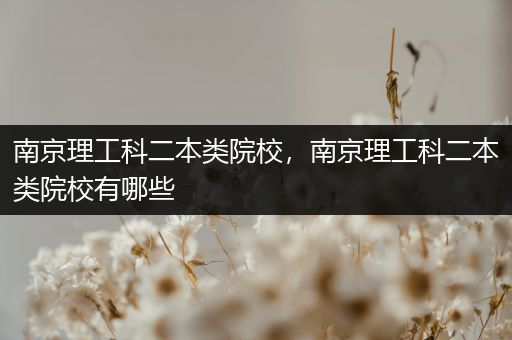南京理工科二本类院校，南京理工科二本类院校有哪些