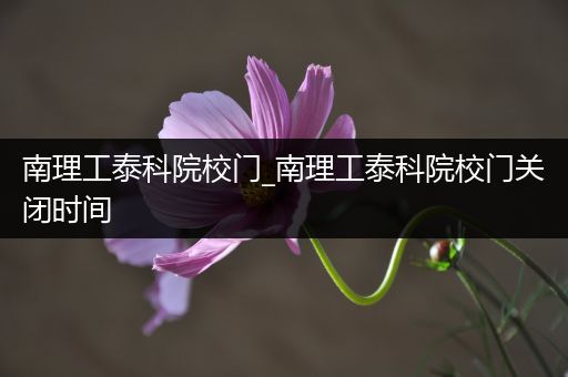 南理工泰科院校门_南理工泰科院校门关闭时间
