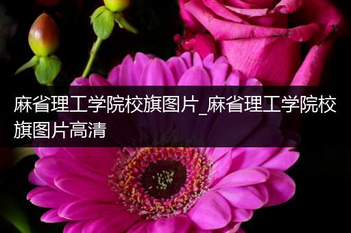 麻省理工学院校旗图片_麻省理工学院校旗图片高清