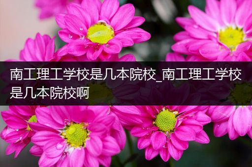南工理工学校是几本院校_南工理工学校是几本院校啊