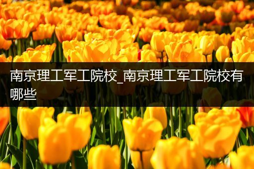 南京理工军工院校_南京理工军工院校有哪些