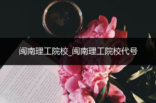 闽南理工院校_闽南理工院校代号
