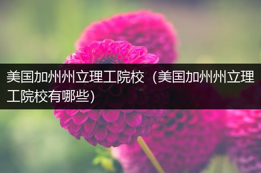 美国加州州立理工院校（美国加州州立理工院校有哪些）
