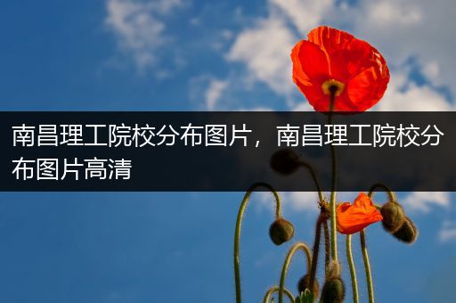 南昌理工院校分布图片，南昌理工院校分布图片高清