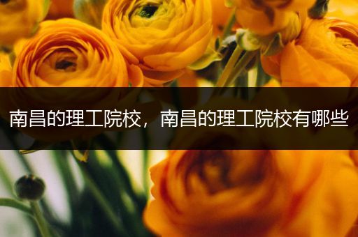 南昌的理工院校，南昌的理工院校有哪些
