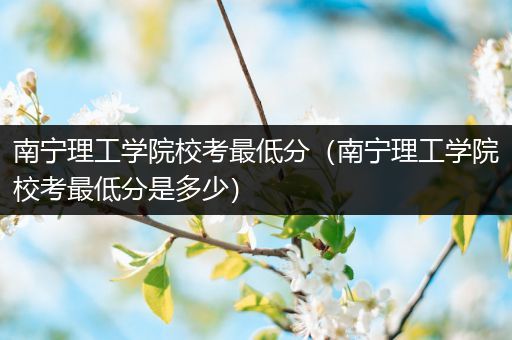 南宁理工学院校考最低分（南宁理工学院校考最低分是多少）