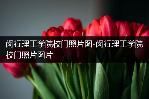 闵行理工学院校门照片图-闵行理工学院校门照片图片