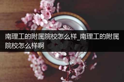 南理工的附属院校怎么样_南理工的附属院校怎么样啊