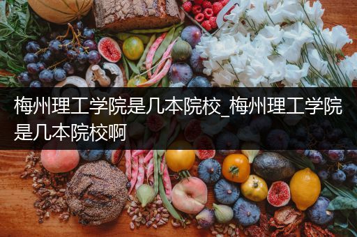 梅州理工学院是几本院校_梅州理工学院是几本院校啊