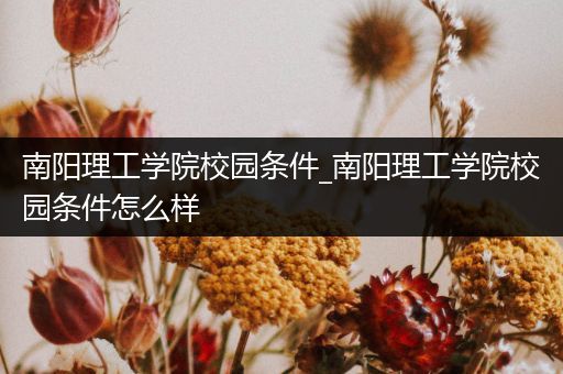 南阳理工学院校园条件_南阳理工学院校园条件怎么样