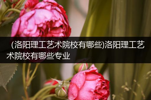 （洛阳理工艺术院校有哪些)洛阳理工艺术院校有哪些专业