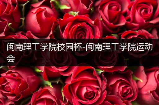 闽南理工学院校园杯-闽南理工学院运动会