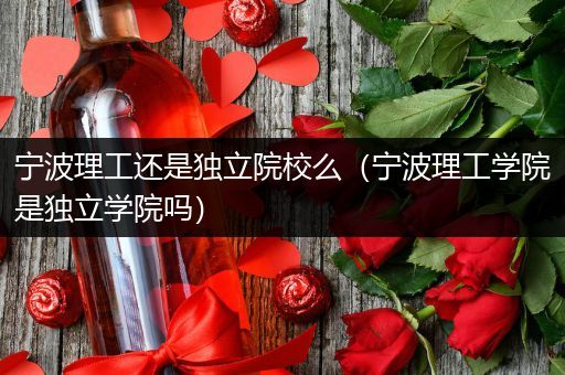 宁波理工还是独立院校么（宁波理工学院是独立学院吗）