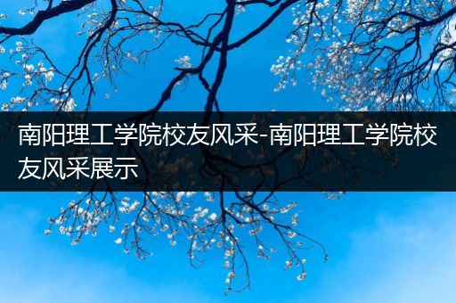 南阳理工学院校友风采-南阳理工学院校友风采展示