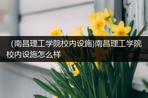 （南昌理工学院校内设施)南昌理工学院校内设施怎么样
