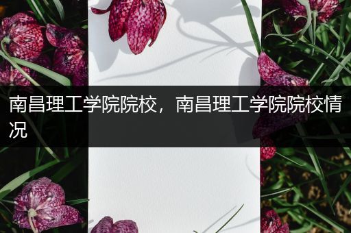 南昌理工学院院校，南昌理工学院院校情况