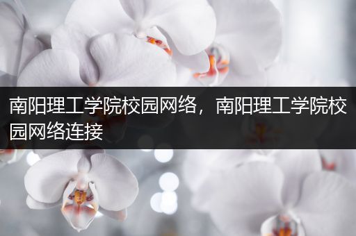 南阳理工学院校园网络，南阳理工学院校园网络连接