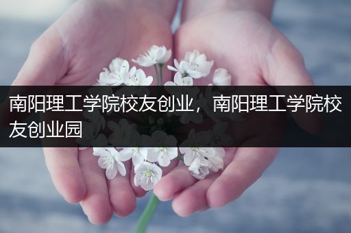 南阳理工学院校友创业，南阳理工学院校友创业园
