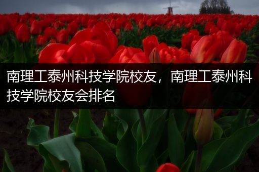 南理工泰州科技学院校友，南理工泰州科技学院校友会排名