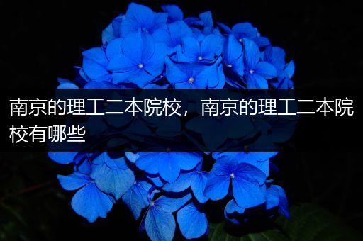 南京的理工二本院校，南京的理工二本院校有哪些