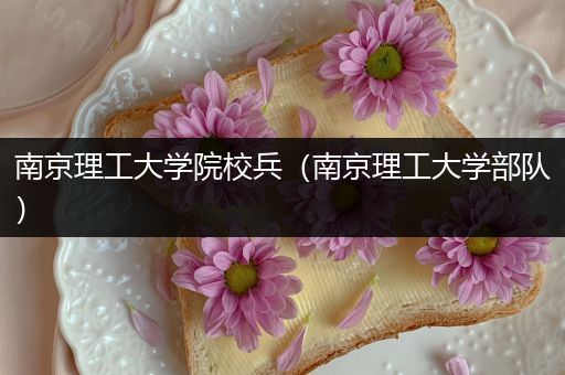 南京理工大学院校兵（南京理工大学部队）