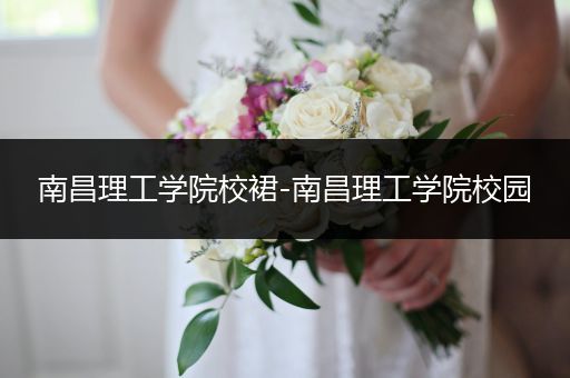 南昌理工学院校裙-南昌理工学院校园