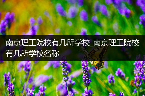 南京理工院校有几所学校_南京理工院校有几所学校名称