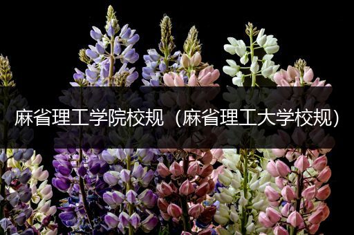麻省理工学院校规（麻省理工大学校规）