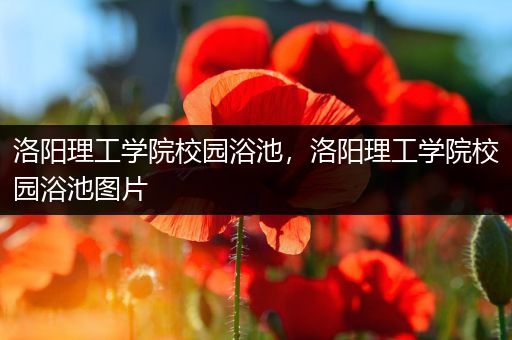 洛阳理工学院校园浴池，洛阳理工学院校园浴池图片