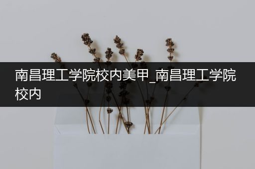 南昌理工学院校内美甲_南昌理工学院 校内