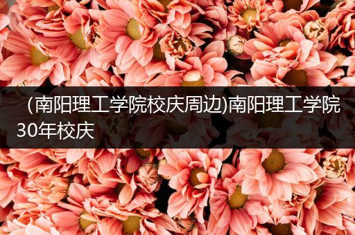 （南阳理工学院校庆周边)南阳理工学院30年校庆