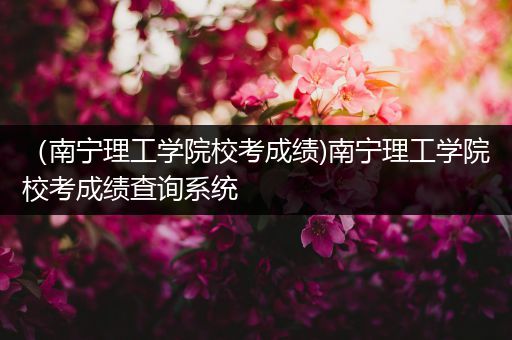 （南宁理工学院校考成绩)南宁理工学院校考成绩查询系统