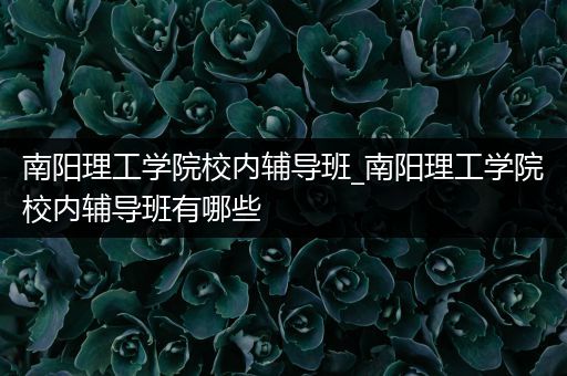 南阳理工学院校内辅导班_南阳理工学院校内辅导班有哪些