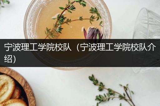 宁波理工学院校队（宁波理工学院校队介绍）
