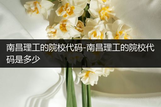 南昌理工的院校代码-南昌理工的院校代码是多少