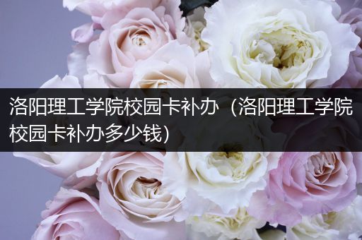 洛阳理工学院校园卡补办（洛阳理工学院校园卡补办多少钱）