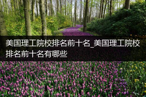 美国理工院校排名前十名_美国理工院校排名前十名有哪些