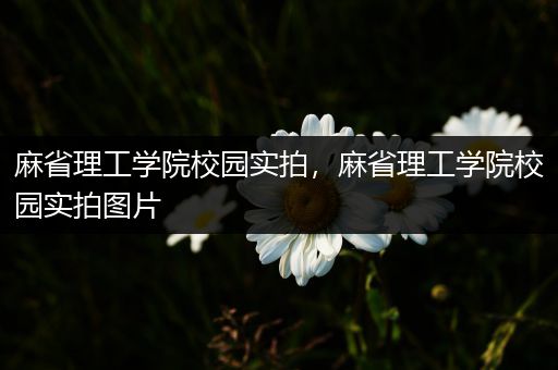 麻省理工学院校园实拍，麻省理工学院校园实拍图片