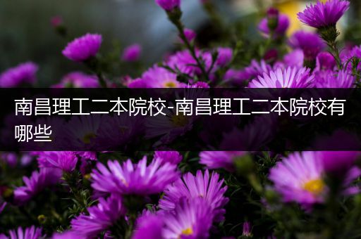 南昌理工二本院校-南昌理工二本院校有哪些
