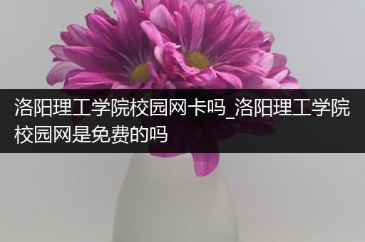 洛阳理工学院校园网卡吗_洛阳理工学院校园网是免费的吗