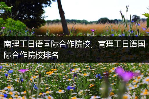 南理工日语国际合作院校，南理工日语国际合作院校排名
