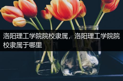 洛阳理工学院院校隶属，洛阳理工学院院校隶属于哪里